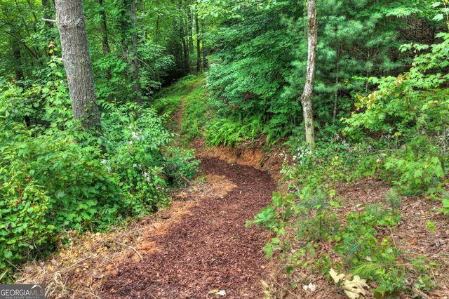 1312 Hicks Ford Road, Ellijay, GA 30540