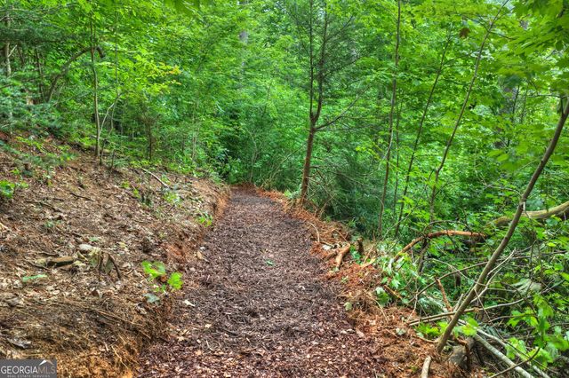 1312 Hicks Ford Road, Ellijay, GA 30540