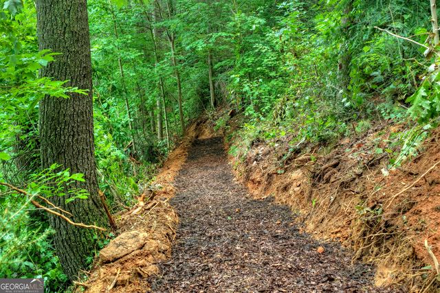 1312 Hicks Ford Road, Ellijay, GA 30540
