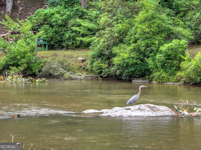 1312 Hicks Ford Road, Ellijay, GA 30540