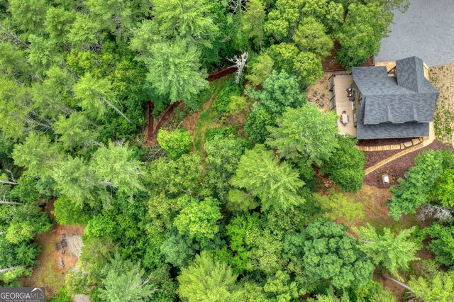 1312 Hicks Ford Road, Ellijay, GA 30540