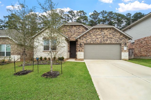 1045 Dancing Feather Street, Montgomery, TX 77316