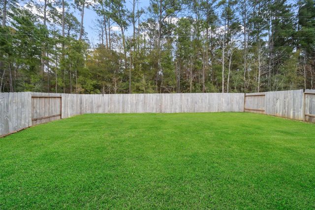 1045 Dancing Feather Street, Montgomery, TX 77316