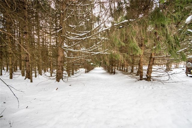 675 Spurr Street, Columbus, NY 13411