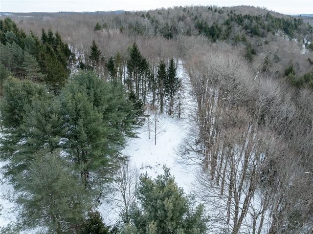 675 Spurr Street, Columbus, NY 13411