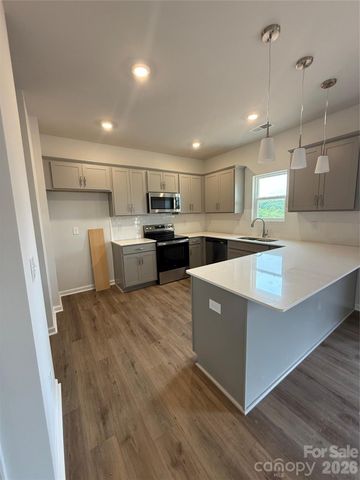 1641 Piper Creek Avenue, Newton, NC 28658