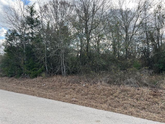 TBD Iron Bridge Road, Burton, TX 77835