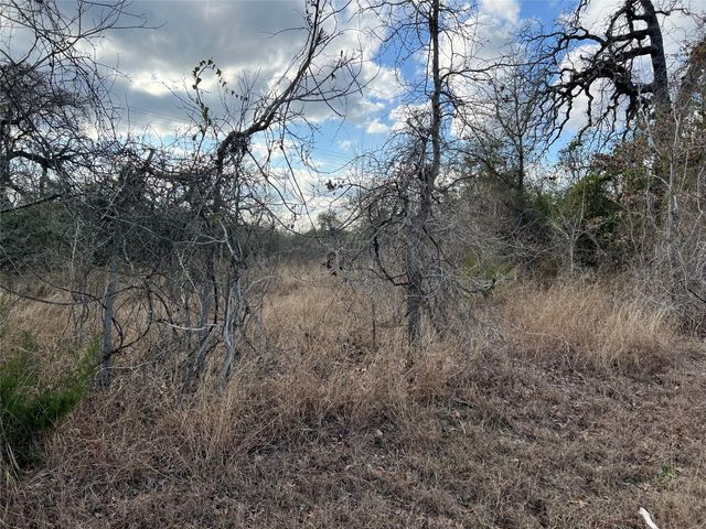 TBD Iron Bridge Road, Burton, TX 77835