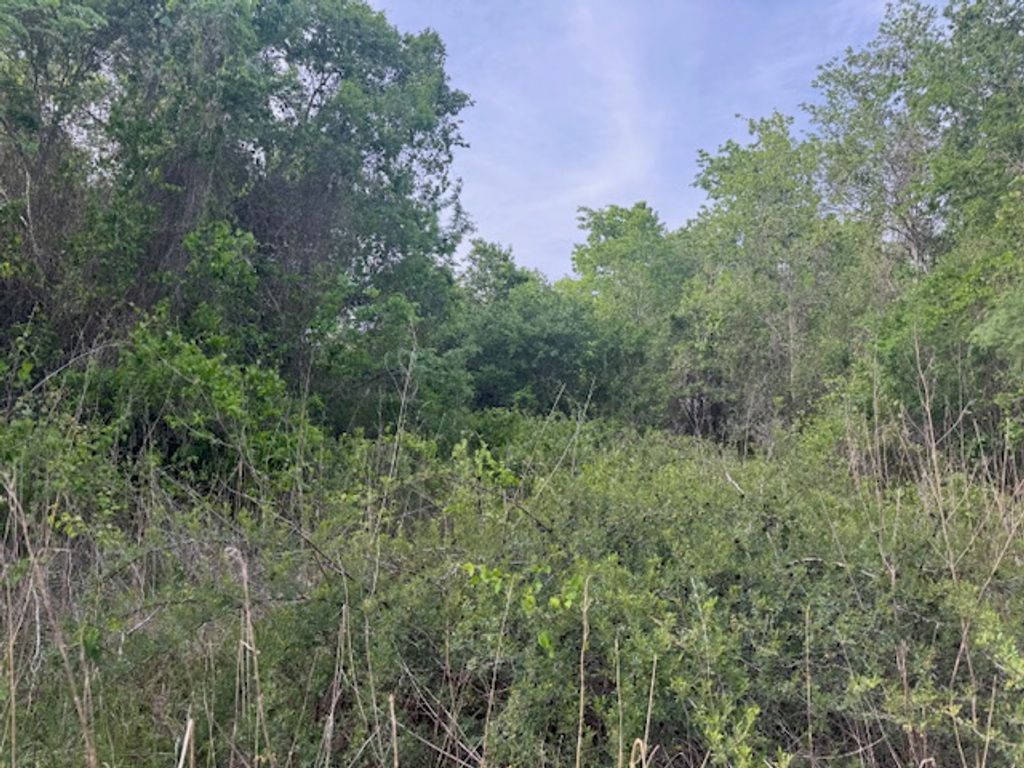 25230 Lake Ridge Drive, Navasota, TX 77868 — exterior