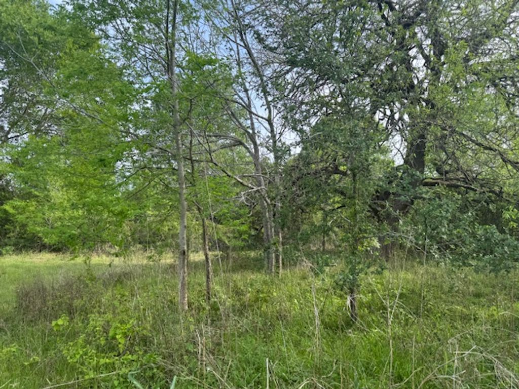 25230 Lake Ridge Drive, Navasota, TX 77868 — photo 5