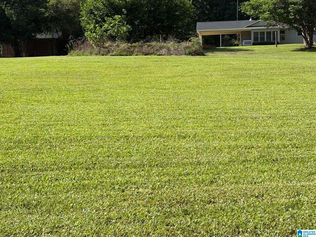 3809 ODENS MILL ROAD, Sylacauga, AL 35151
