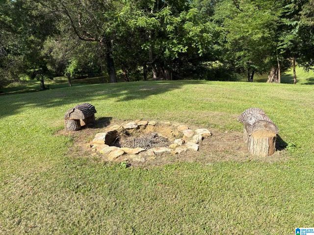 3809 ODENS MILL ROAD, Sylacauga, AL 35151