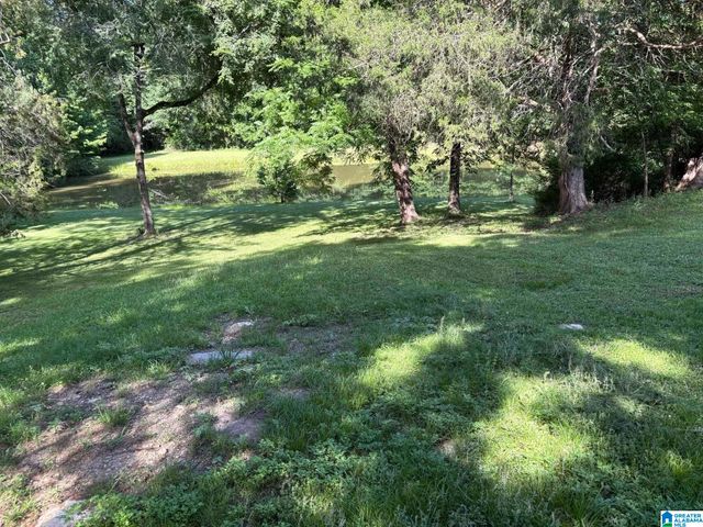 3809 ODENS MILL ROAD, Sylacauga, AL 35151