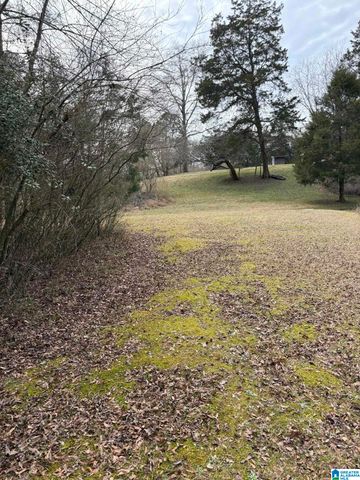 3809 ODENS MILL ROAD, Sylacauga, AL 35151
