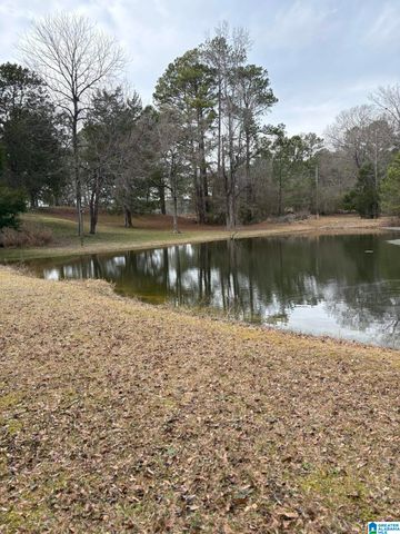 3809 ODENS MILL ROAD, Sylacauga, AL 35151