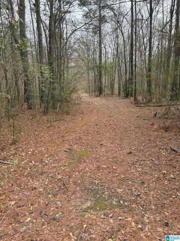 3809 ODENS MILL ROAD, Sylacauga, AL 35151