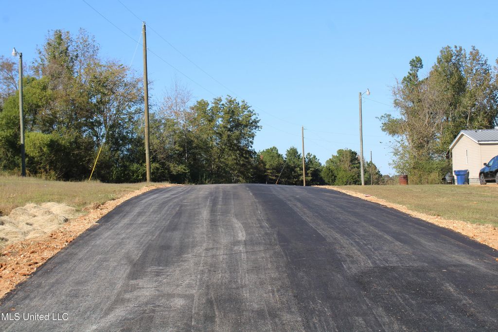 90 Bull Horn Road, Como, MS 38619 — photo 2