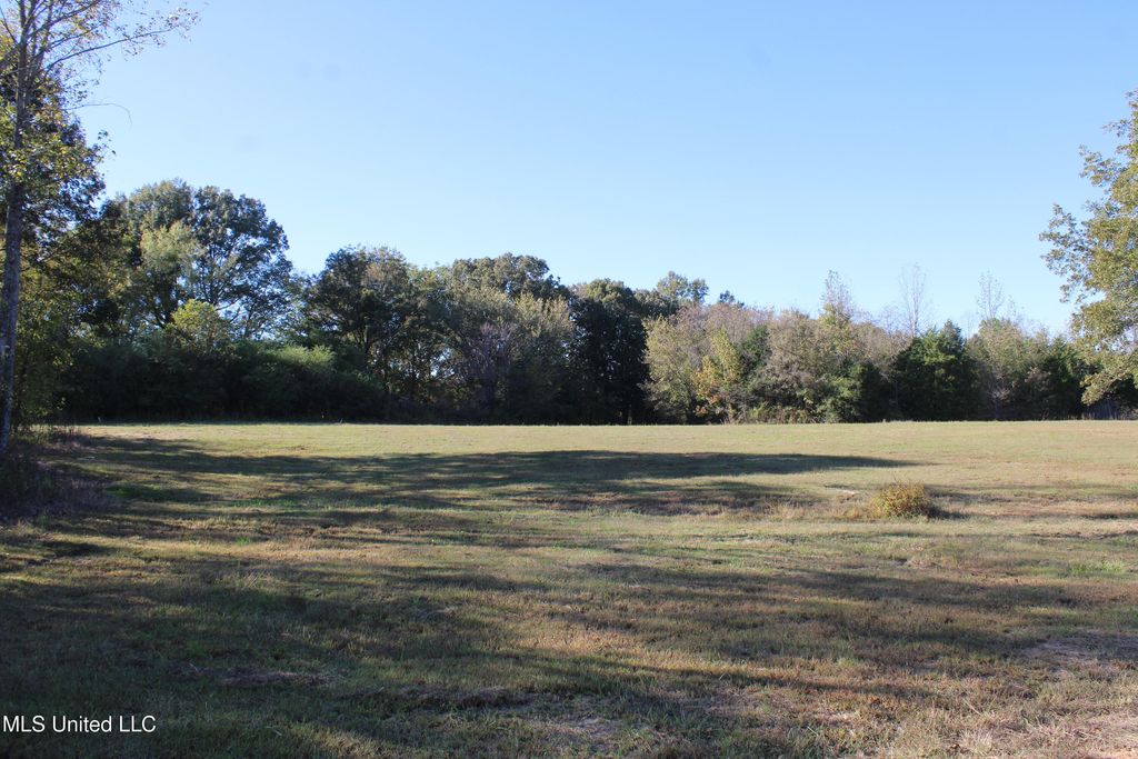 90 Bull Horn Road, Como, MS 38619 — photo 3