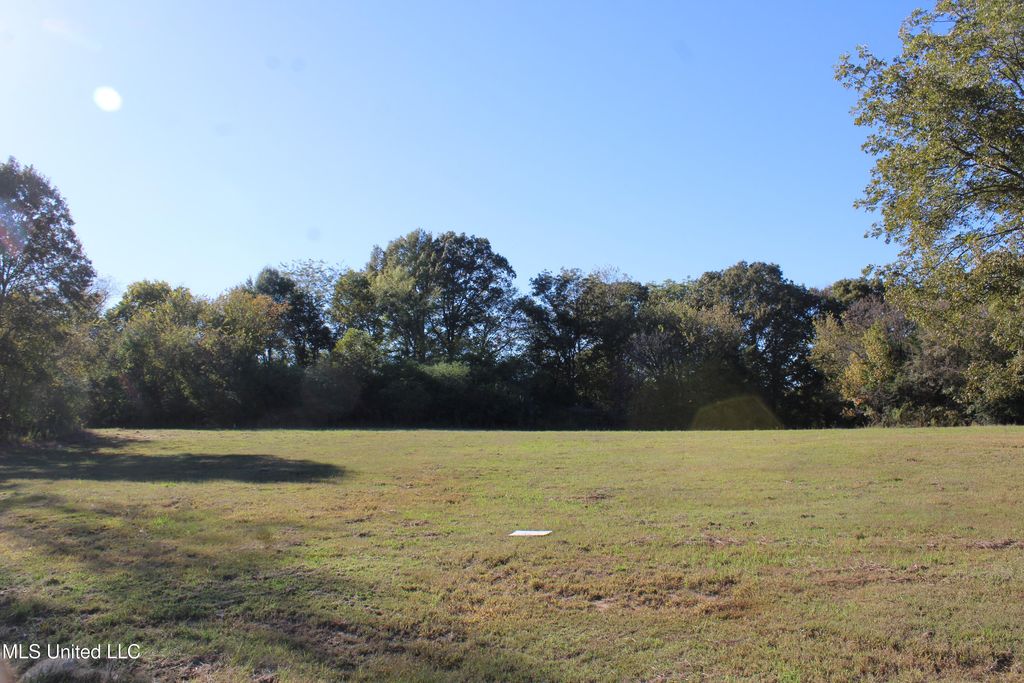 90 Bull Horn Road, Como, MS 38619 — photo 4