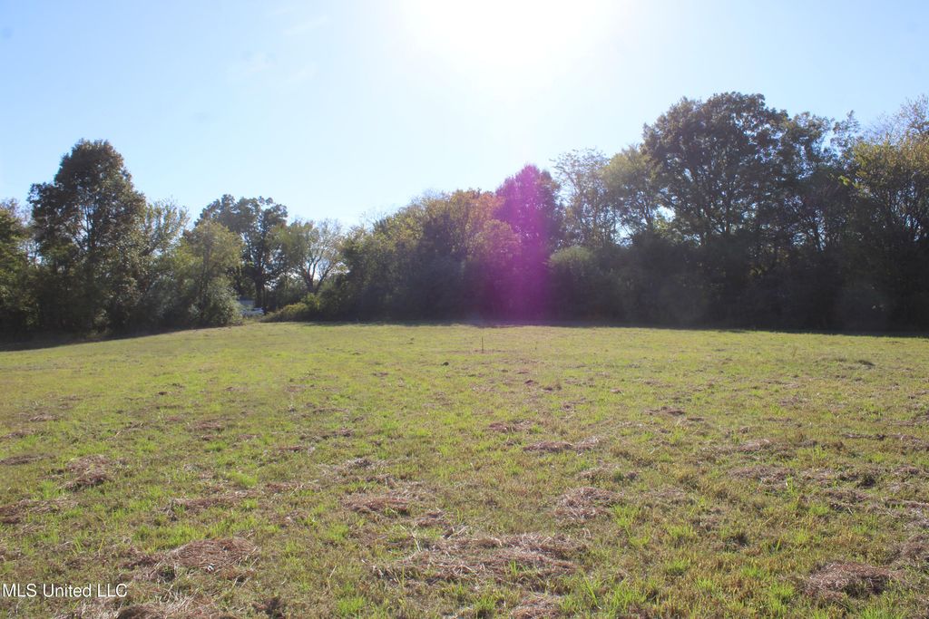 90 Bull Horn Road, Como, MS 38619 — photo 5