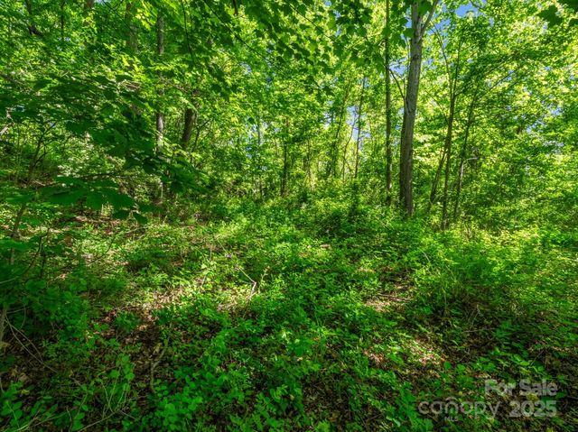 00000 Hamilton Acres Drive 4, 5, & 6, Hendersonville, NC 28791