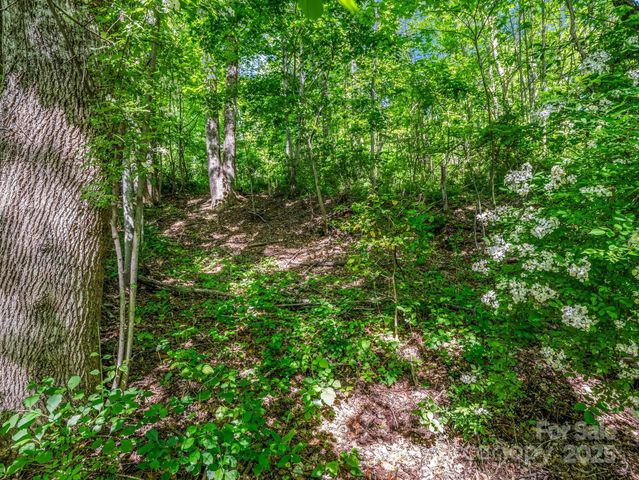 00000 Hamilton Acres Drive 4, 5, & 6, Hendersonville, NC 28791