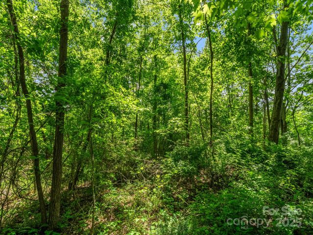 00000 Hamilton Acres Drive 4, 5, & 6, Hendersonville, NC 28791