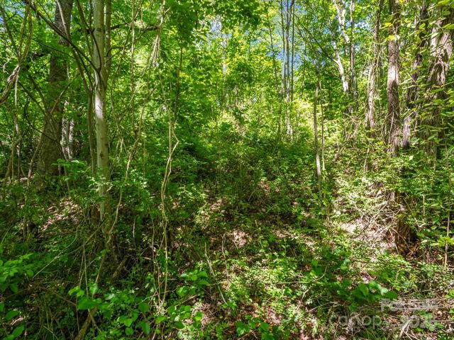 00000 Hamilton Acres Drive 4, 5, & 6, Hendersonville, NC 28791