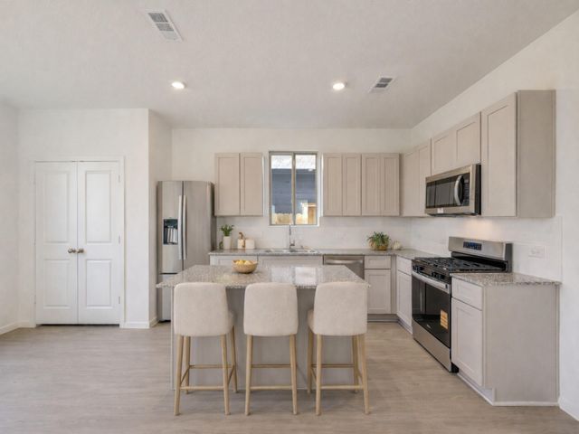 16132 Sepia Manor Street, Conroe, TX 77378