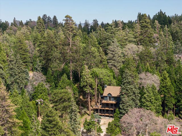 413 Cimarron Lane, Lake Arrowhead, CA 92352