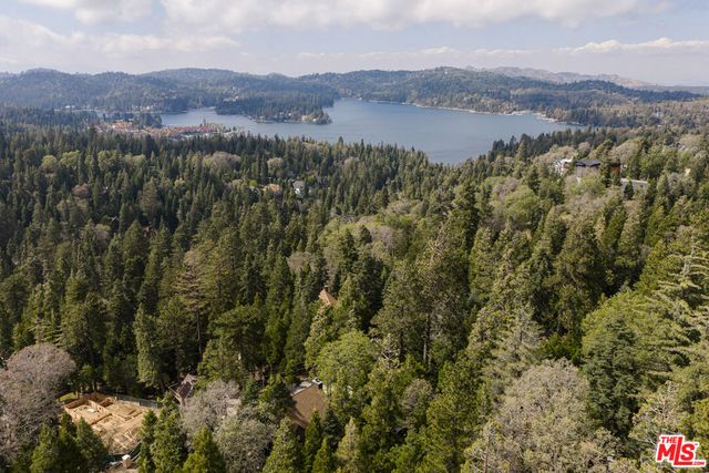 413 Cimarron Lane, Lake Arrowhead, CA 92352