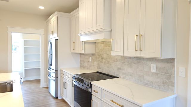 1171 Brushed Dune Circle, Freeport, FL 32439