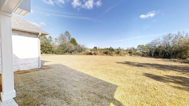 1171 Brushed Dune Circle, Freeport, FL 32439
