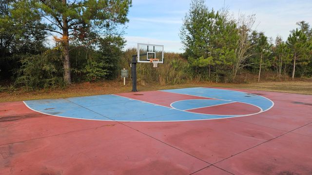 1171 Brushed Dune Circle, Freeport, FL 32439