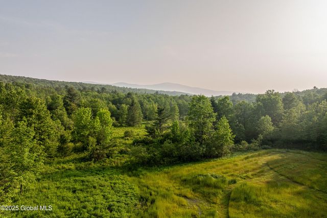 1174 Potter Mountain Road, Gilboa, NY 12076