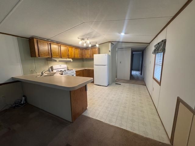 2520 S Blodgett, Lake City, MI 49651