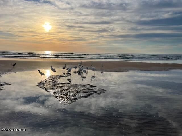 2615 S Atlantic Ave Apt 3F, Daytona Beach Shores, FL 32118