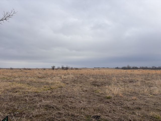 TBD County Road, Pecan Gap, TX 75469