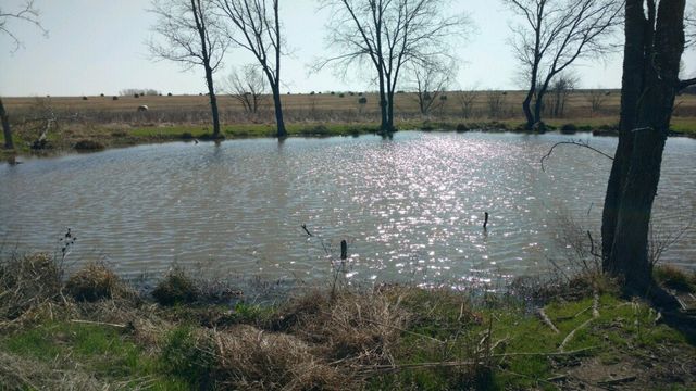 TBD County Road, Pecan Gap, TX 75469