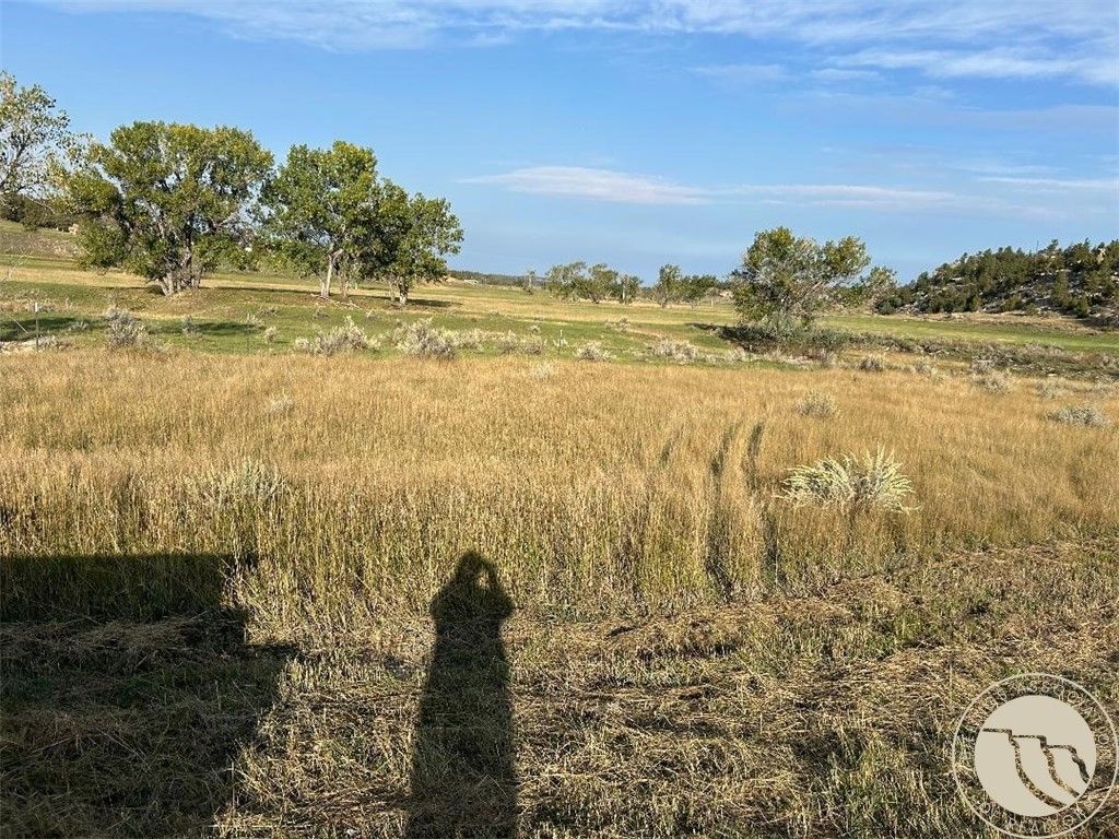 tbd Hwy 12, Roundup, MT 59072
