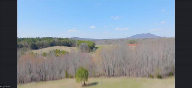 202 Roby Fulk Road, Pinnacle, NC 27043