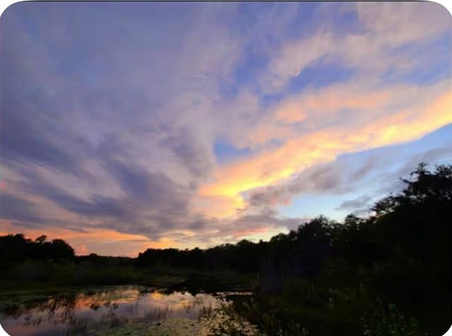 15120 NE 240TH COURT, Salt Springs, FL 32134