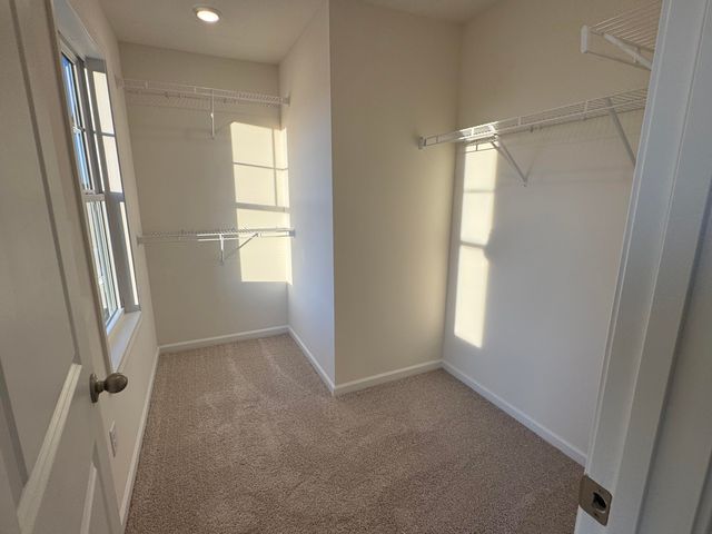 829 Coldsheet Drive, Sumter, SC 29154