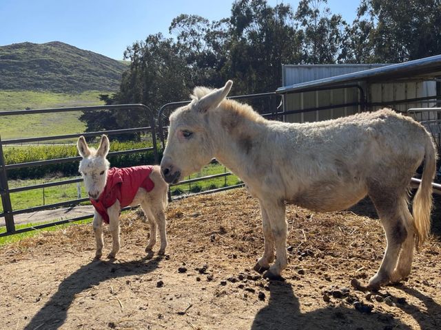 1498 O'Connor Way, San Luis Obispo, CA 93401