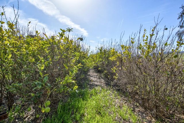 1498 O'Connor Way, San Luis Obispo, CA 93401