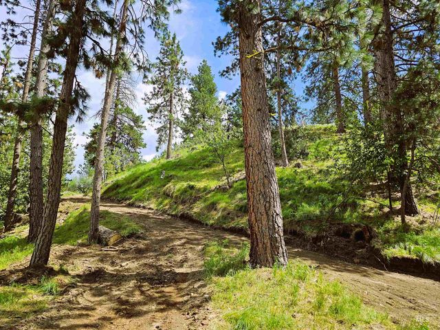 Lot 25 Pine Ridge Road, Boise, ID 83716