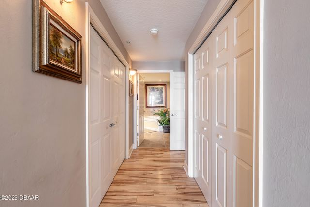 2403 S Atlantic Ave Apt 1205, Daytona Beach Shores, FL 32118