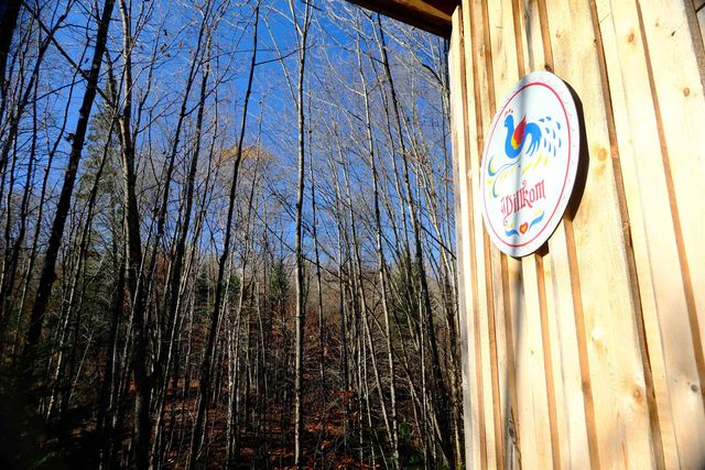 592 Vertical Mile Road, Wheelock, VT 05851