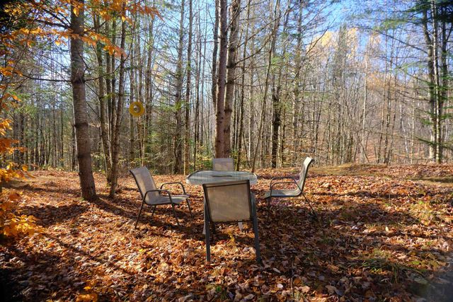 592 Vertical Mile Road, Wheelock, VT 05851