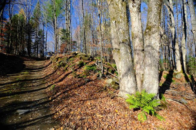 592 Vertical Mile Road, Wheelock, VT 05851